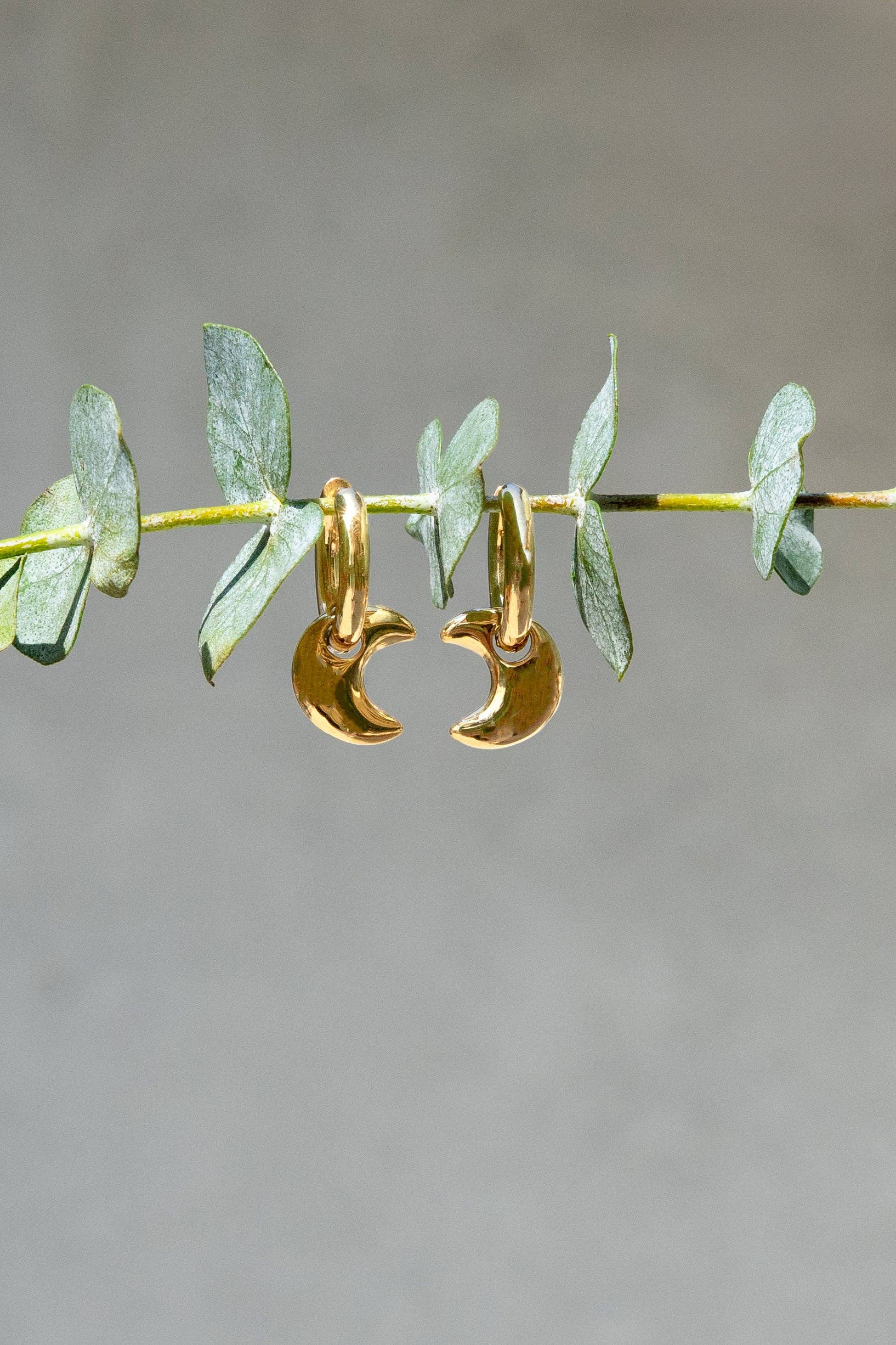 Luna Moon Charm Hoop Earrings – 18K Gold Plated