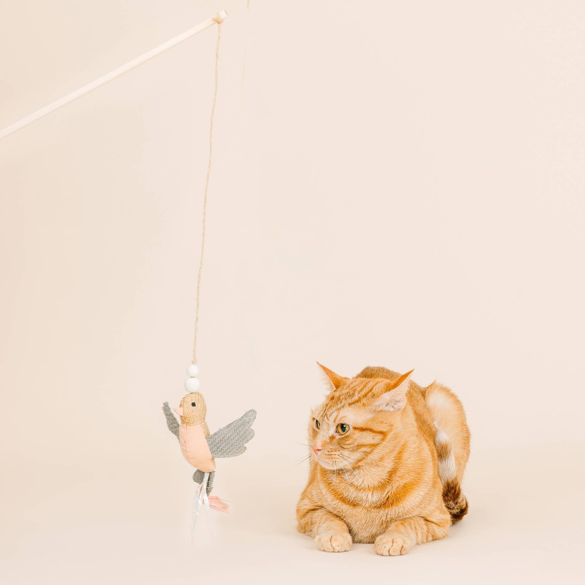 Taking Flight Hummingbird Teaser Cat Toy