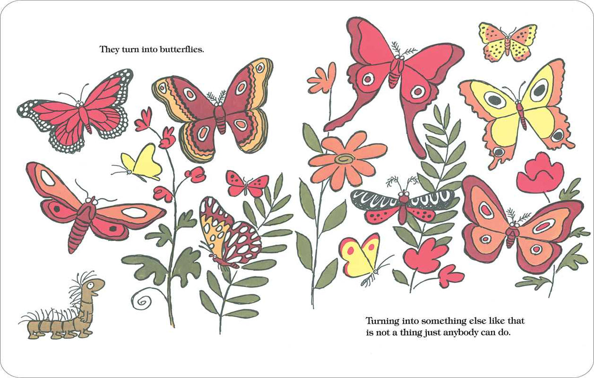The Caterpillar and the Polliwog by Jack Kent