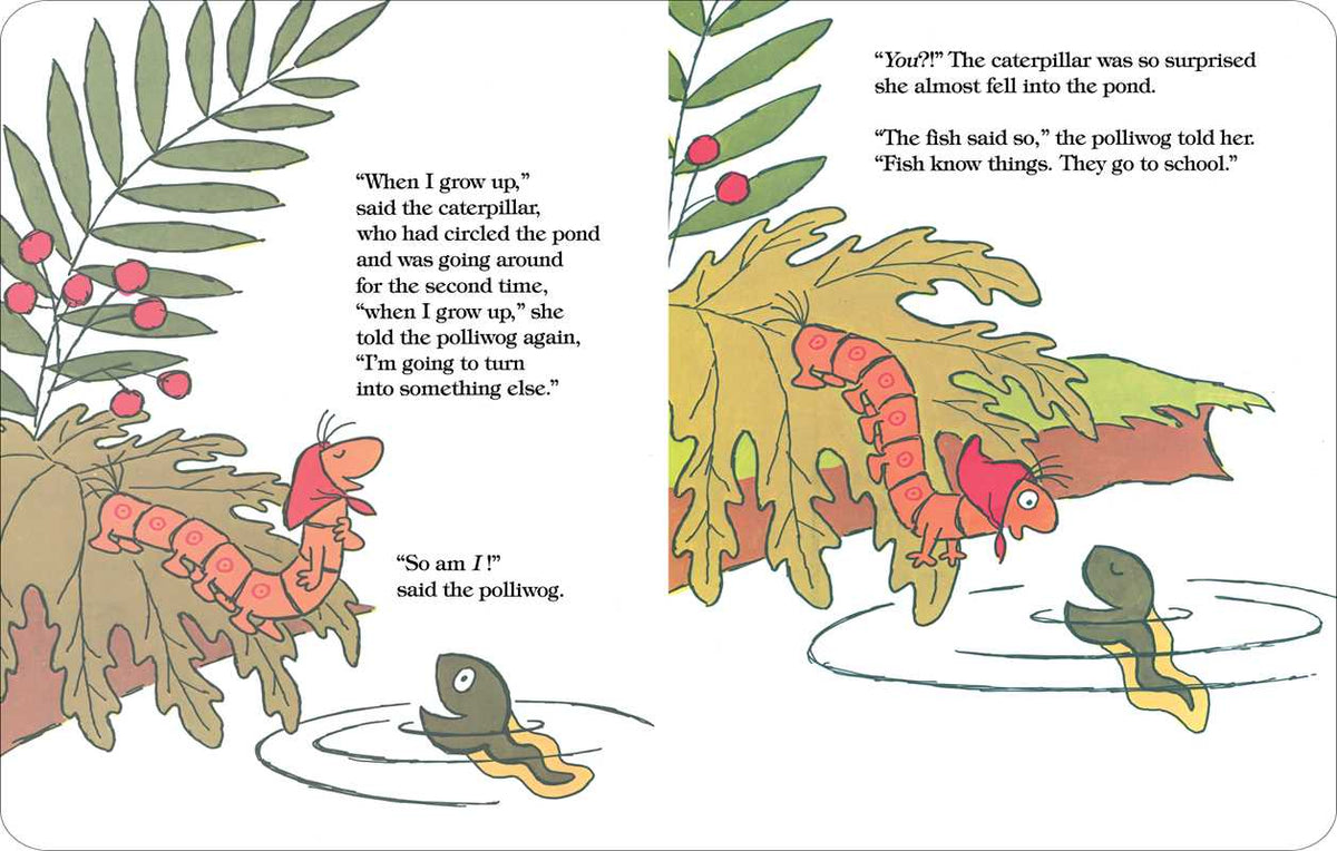 The Caterpillar and the Polliwog by Jack Kent