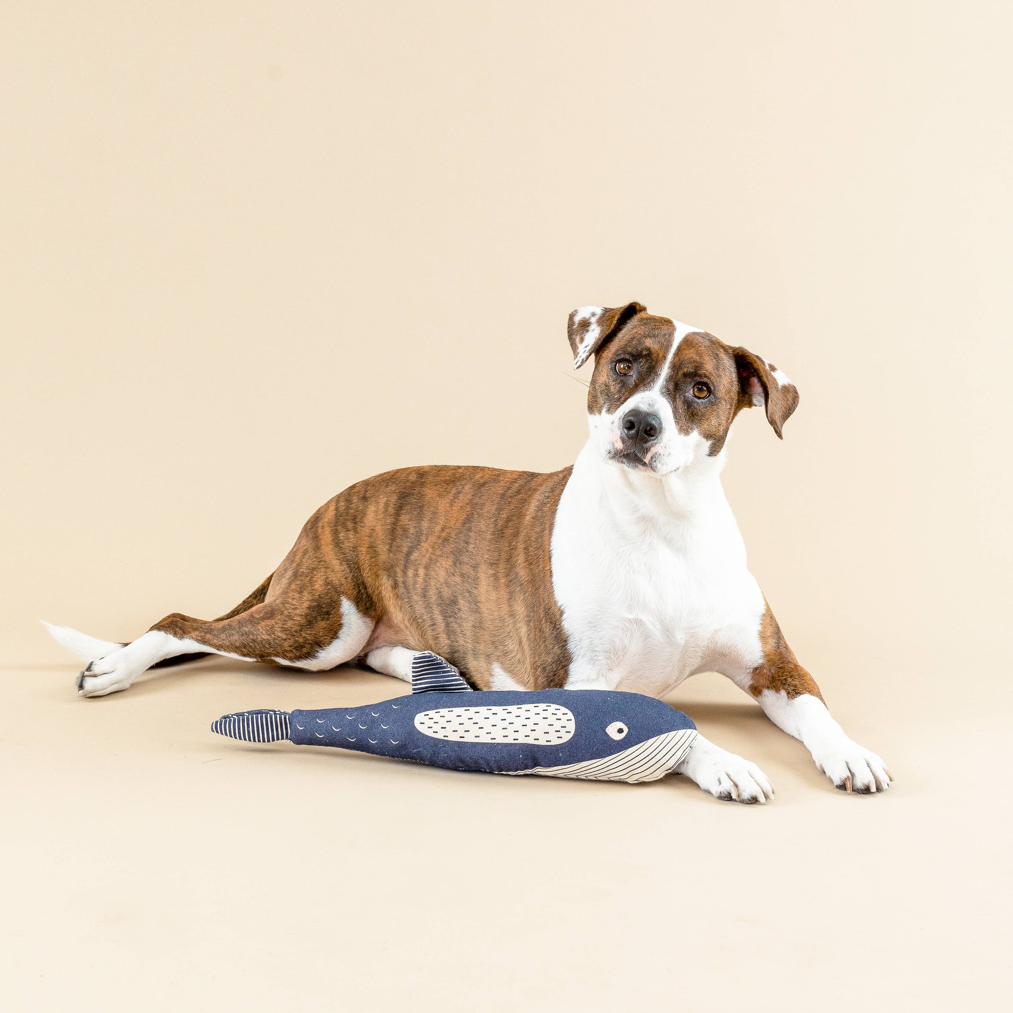 There She Blows Canvas Whale Dog Toy