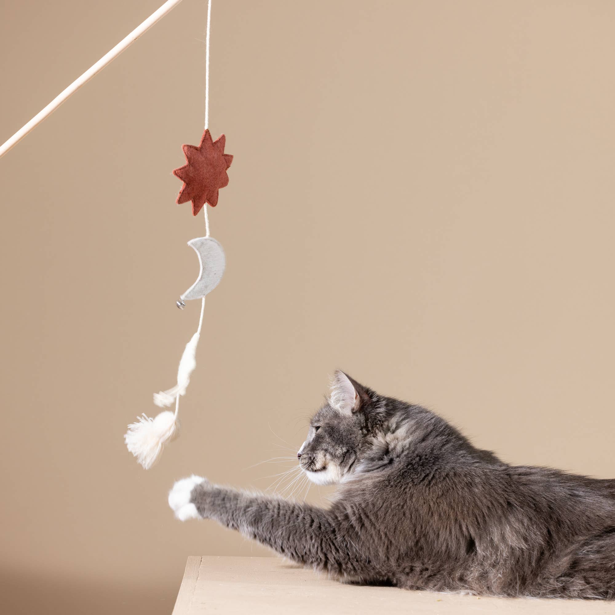 Happy Skies Multi-Sensory Teaser Cat Toy