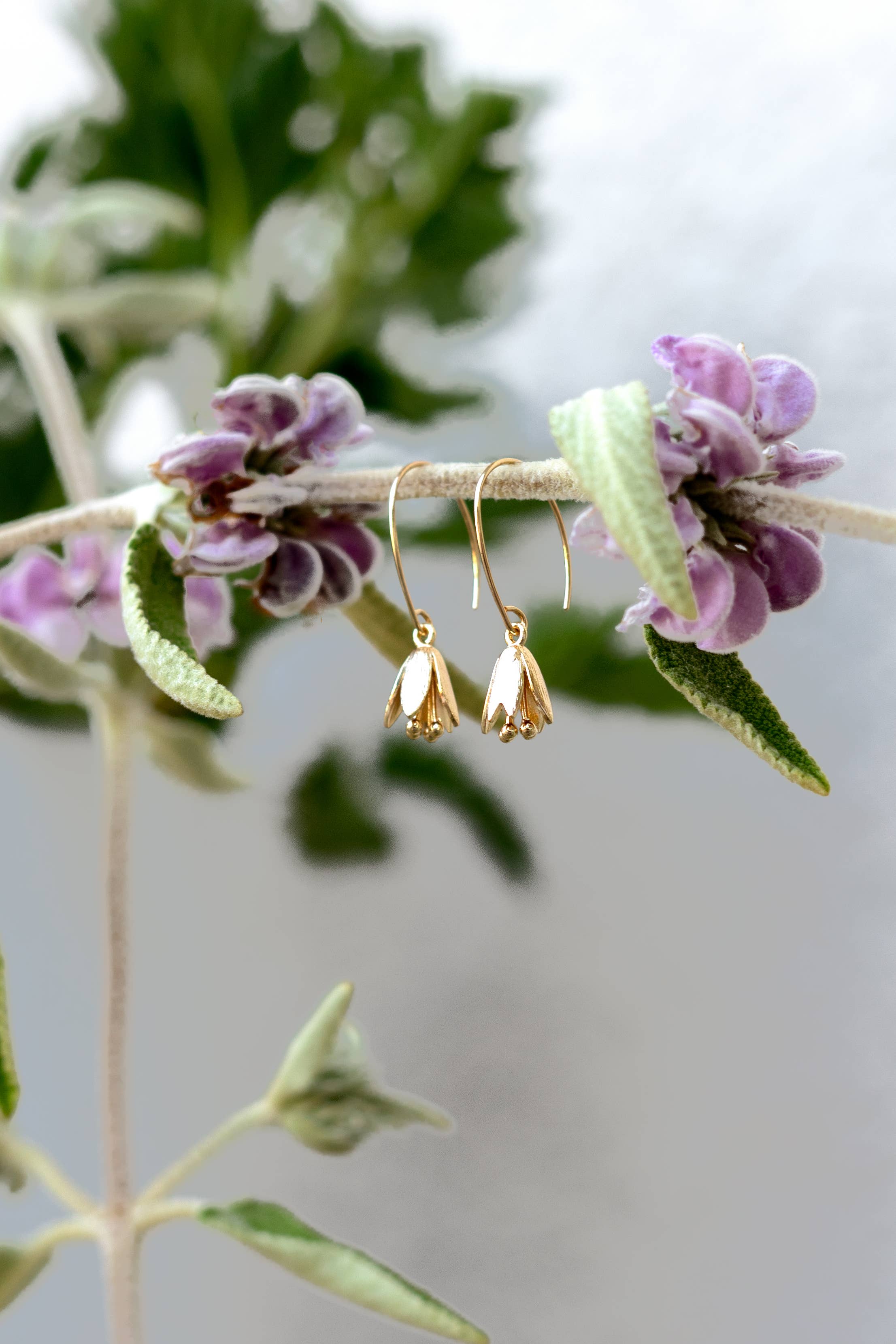Courtenay Tulip Drop Earrings
