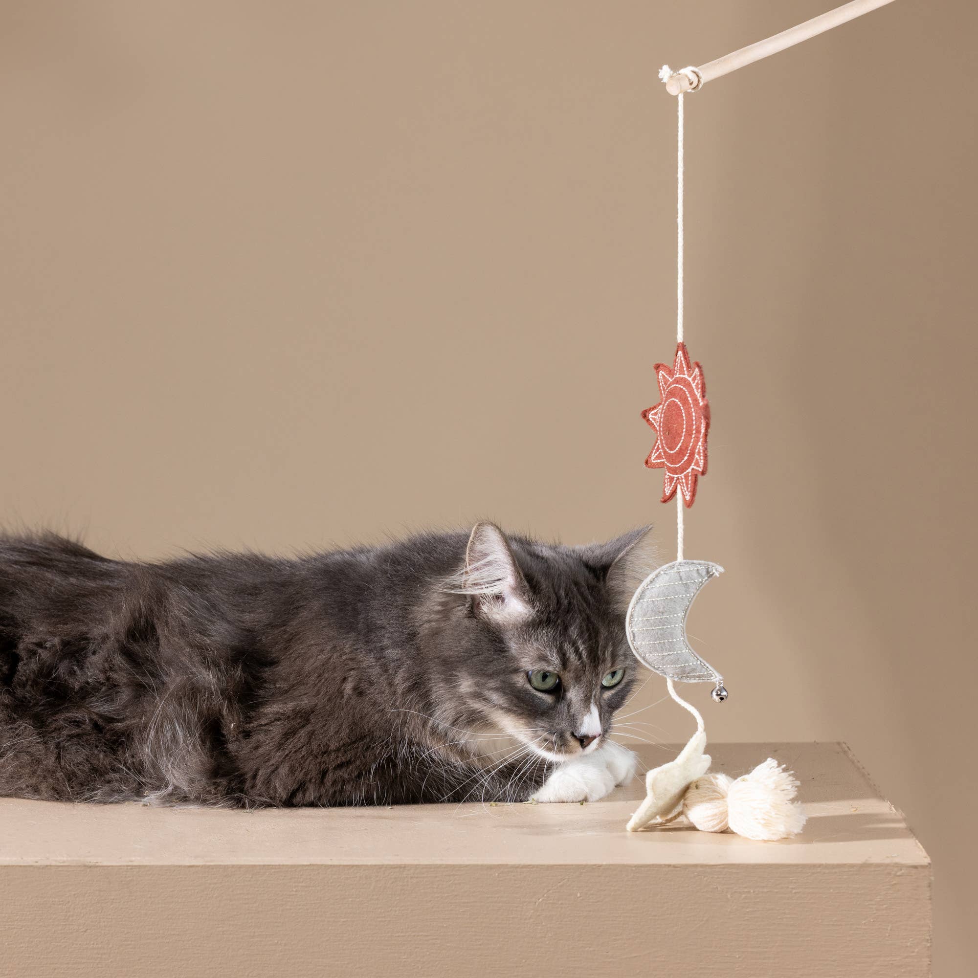 Happy Skies Multi-Sensory Teaser Cat Toy
