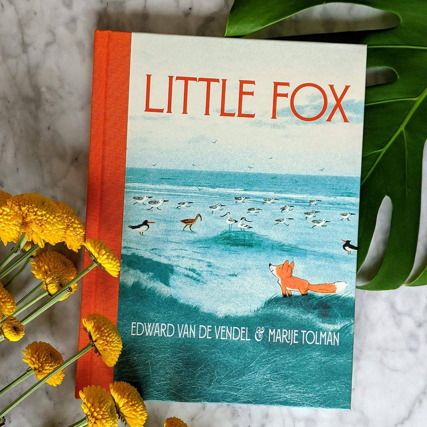 Little Fox by Edward van de Vendel & Marije Tolman