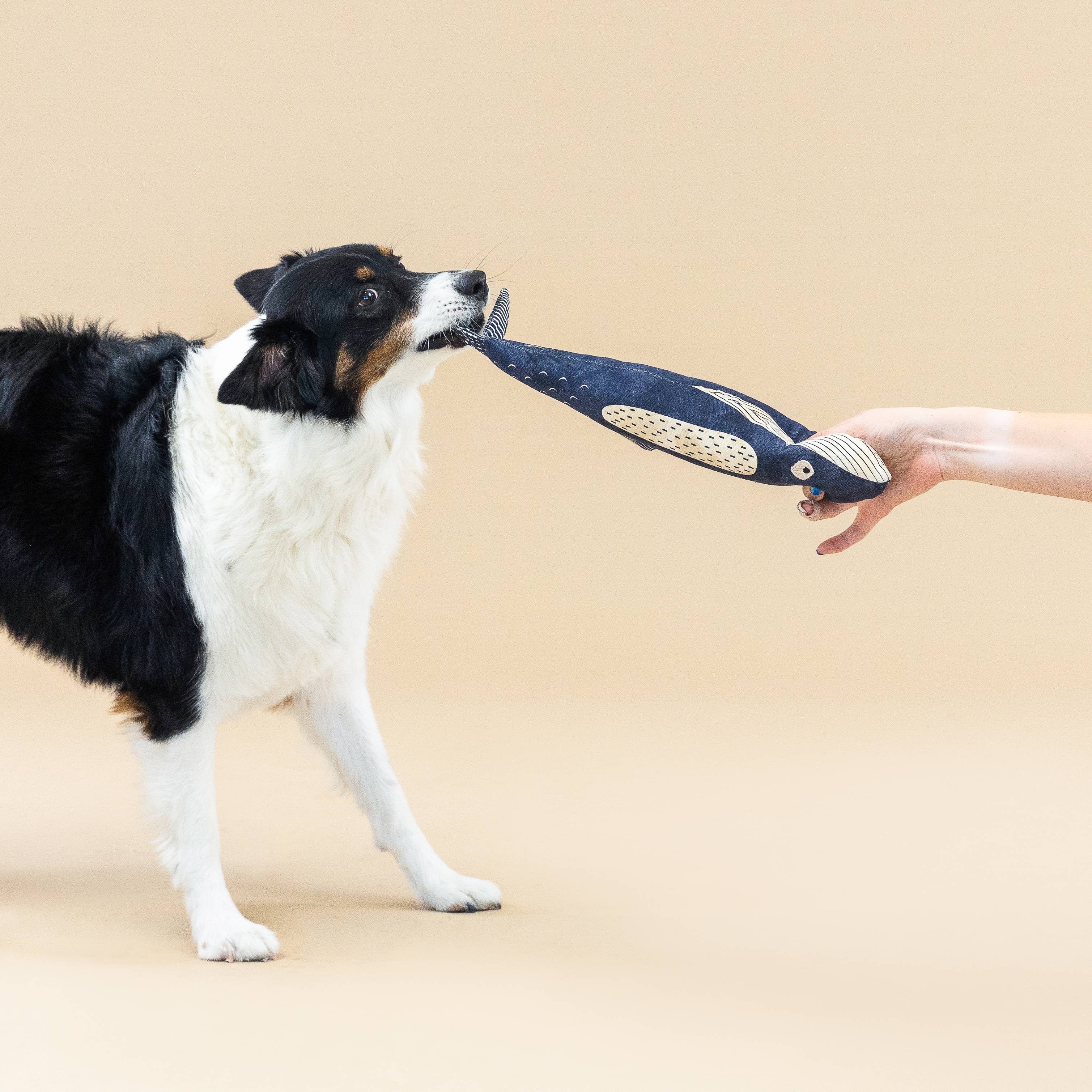 There She Blows Canvas Whale Dog Toy