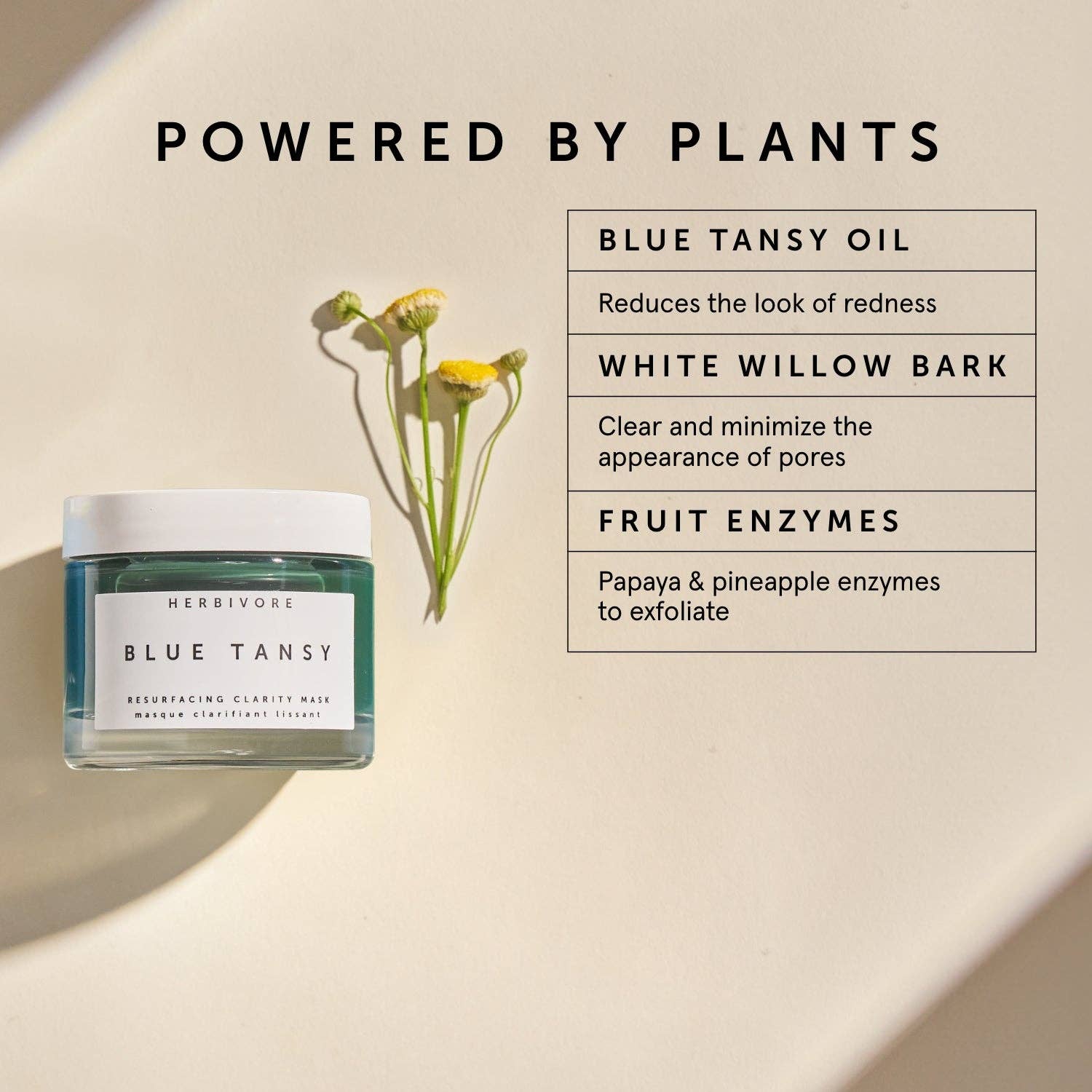 Blue Tansy Invisible Pores Resurfacing Clarity Mask