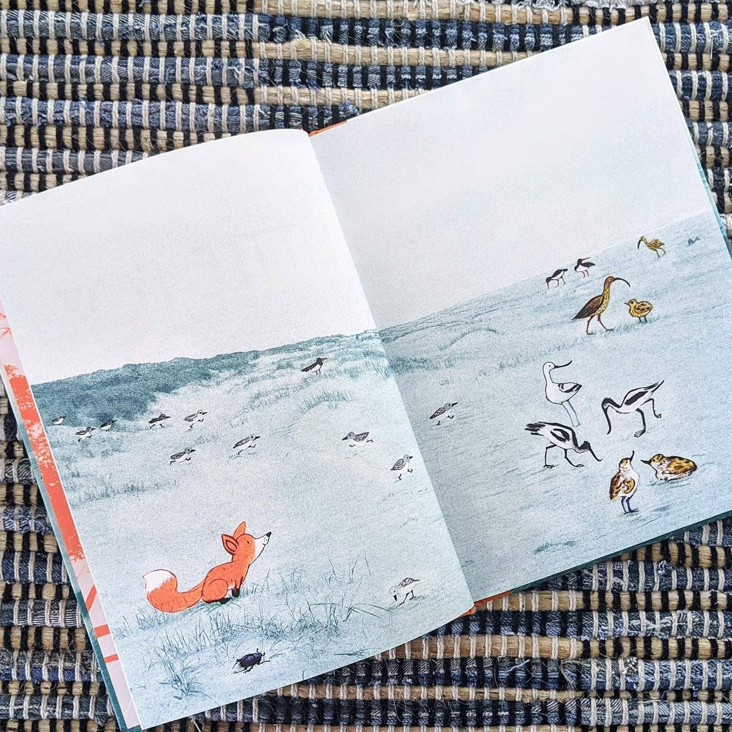 Little Fox by Edward van de Vendel & Marije Tolman