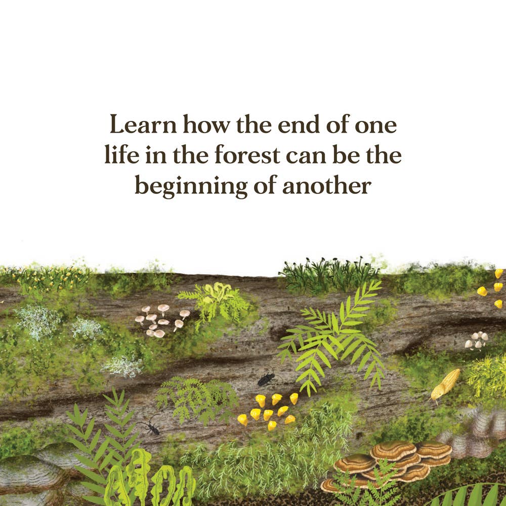 When a Tree Falls: Nurse Logs and Their Incredible Forest Power
