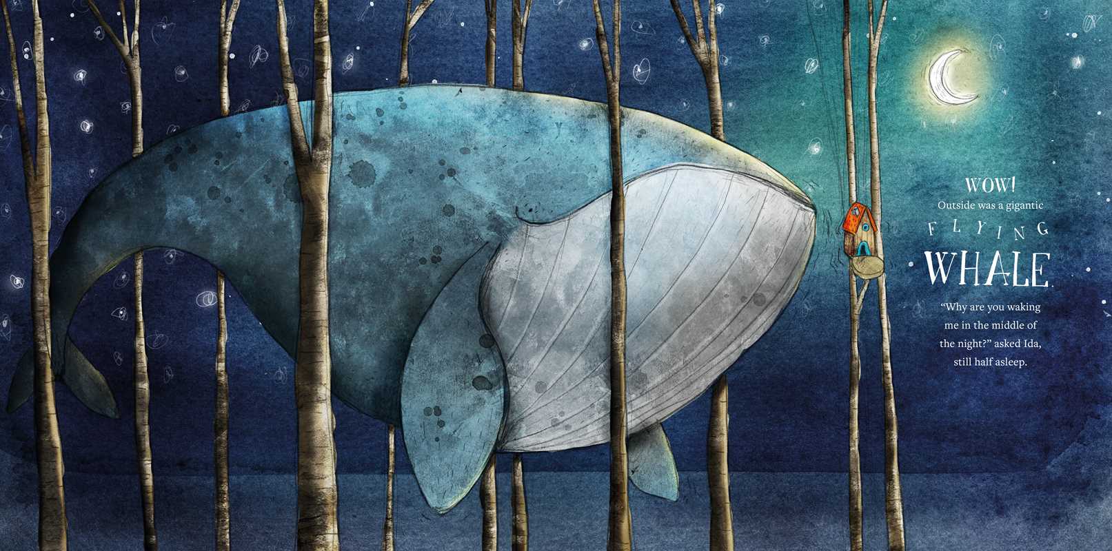 Ida and the Whale by Rebecca Gugger