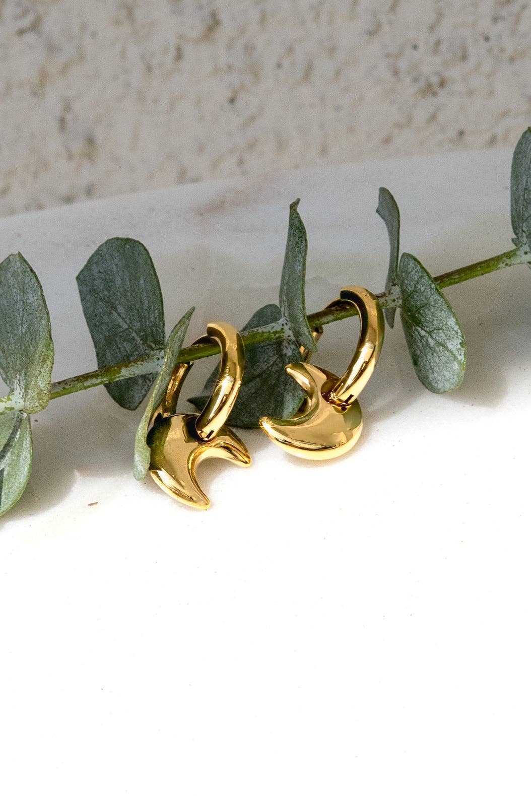 Luna Moon Charm Hoop Earrings – 18K Gold Plated