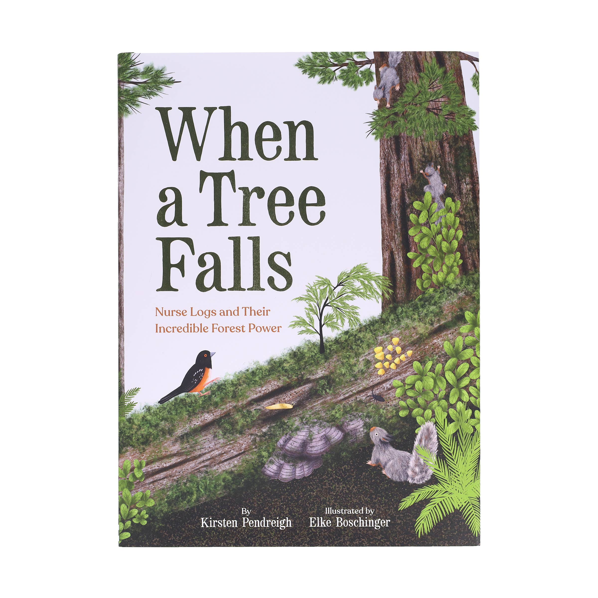 When a Tree Falls: Nurse Logs and Their Incredible Forest Power