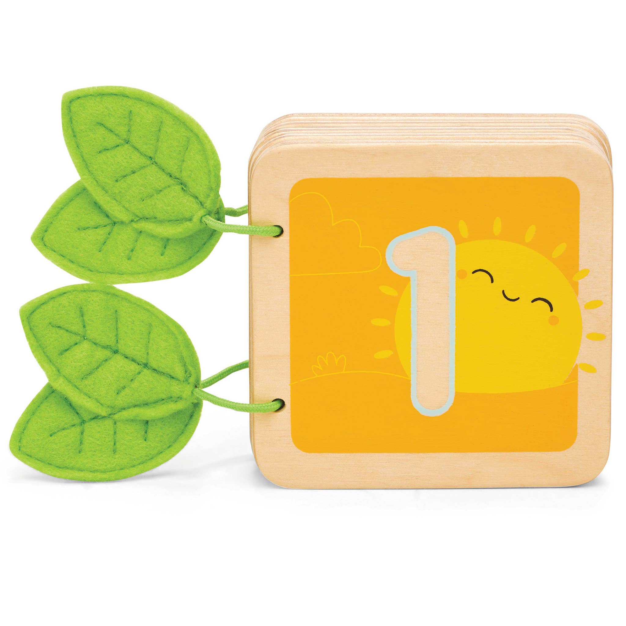 Number Counting Book for Kids 1-23