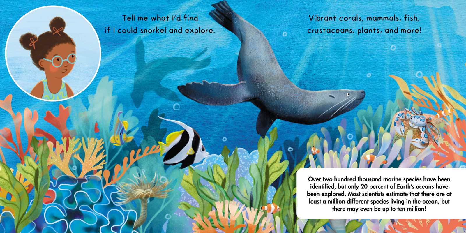 Tell Me About Oceans Board Book by Lisa Varchol Perron
