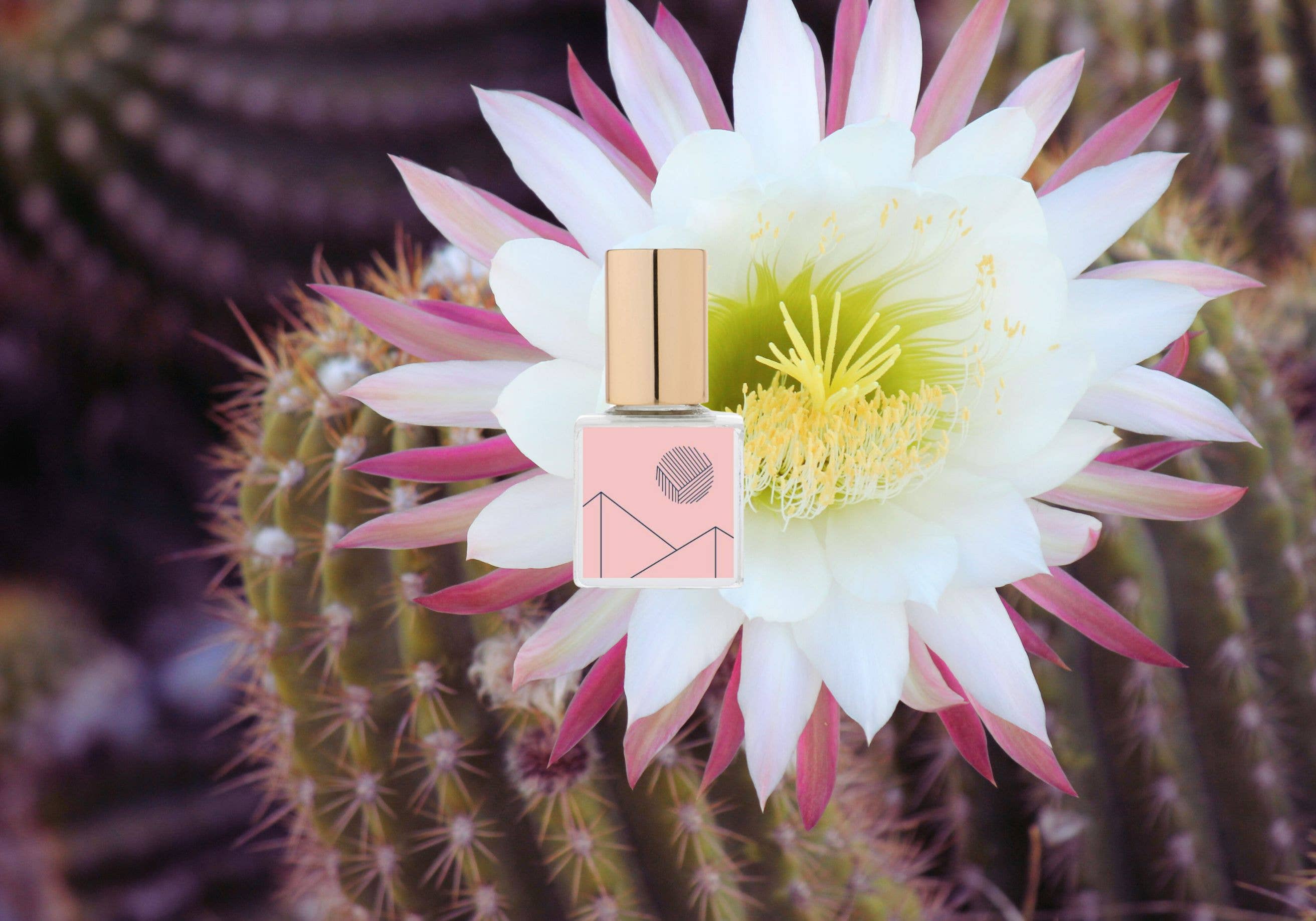 Kelly + Jones Mezcal Gold Flora Perfume Oil Roll-On