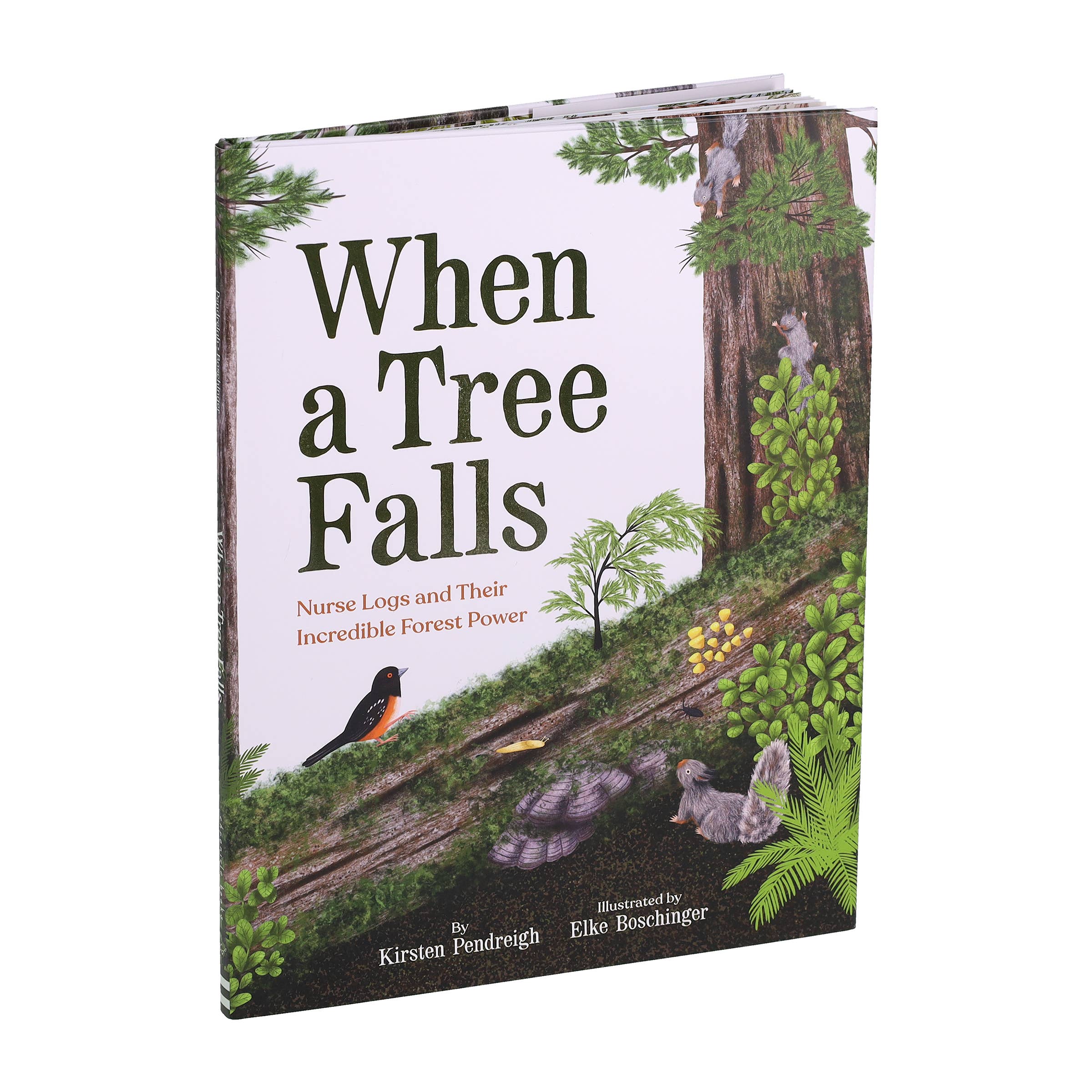 When a Tree Falls: Nurse Logs and Their Incredible Forest Power