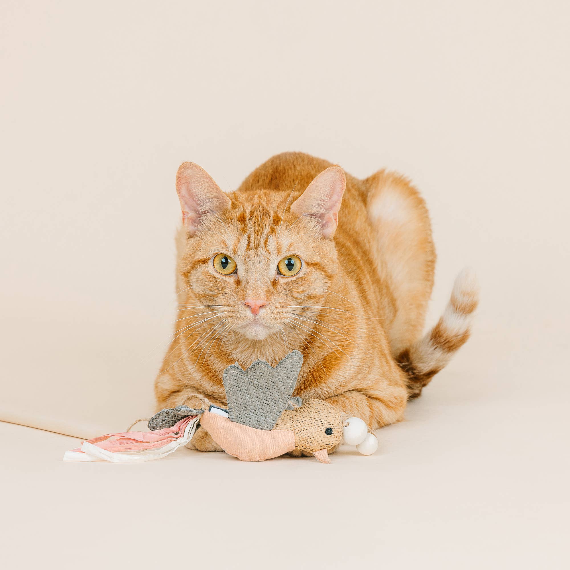 Taking Flight Hummingbird Teaser Cat Toy