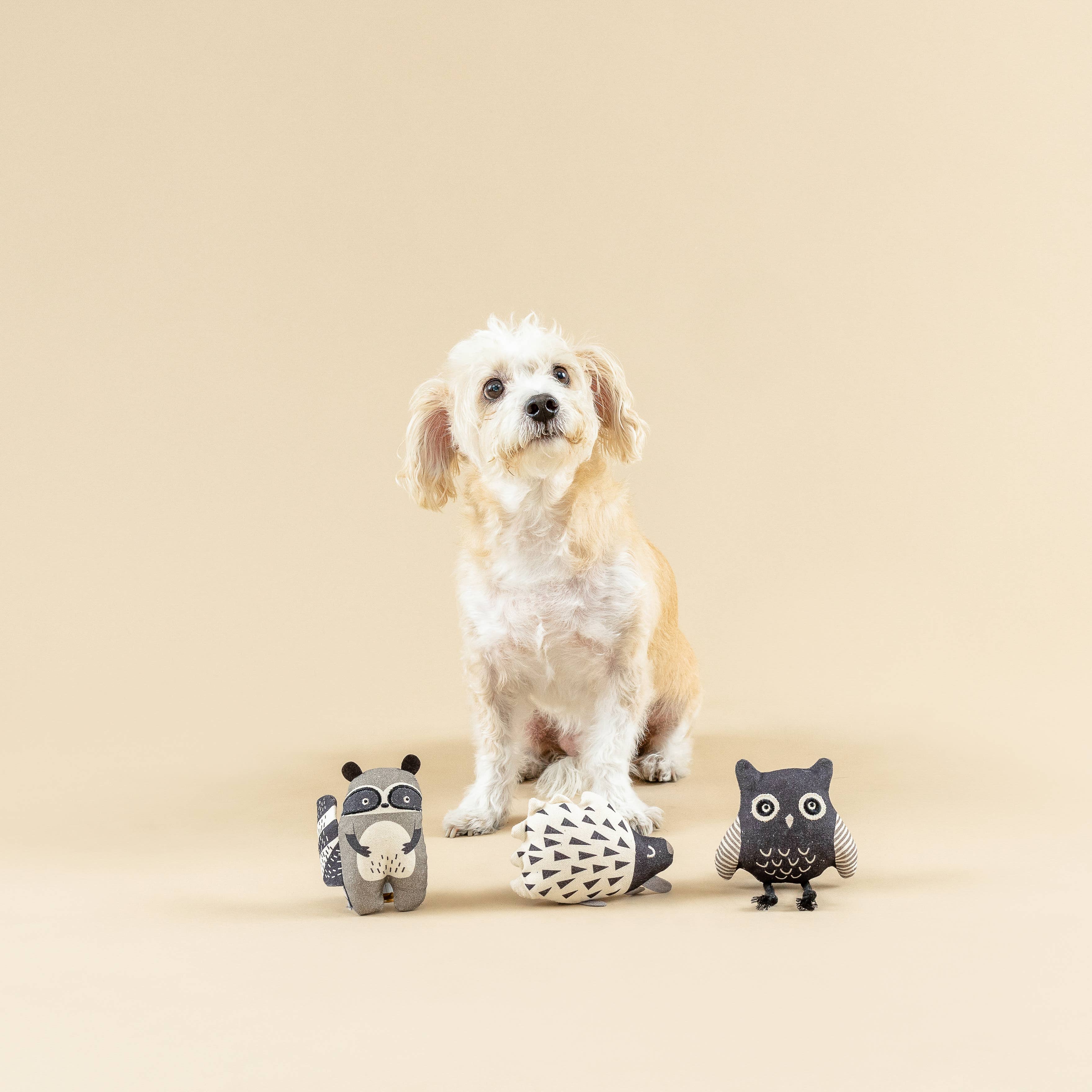 Wild Ones Canvas Dog Toy Set — 3 Pack