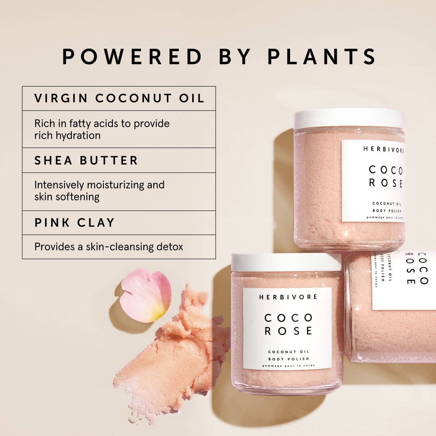 Coco Rose Exfoliating Body Scrub