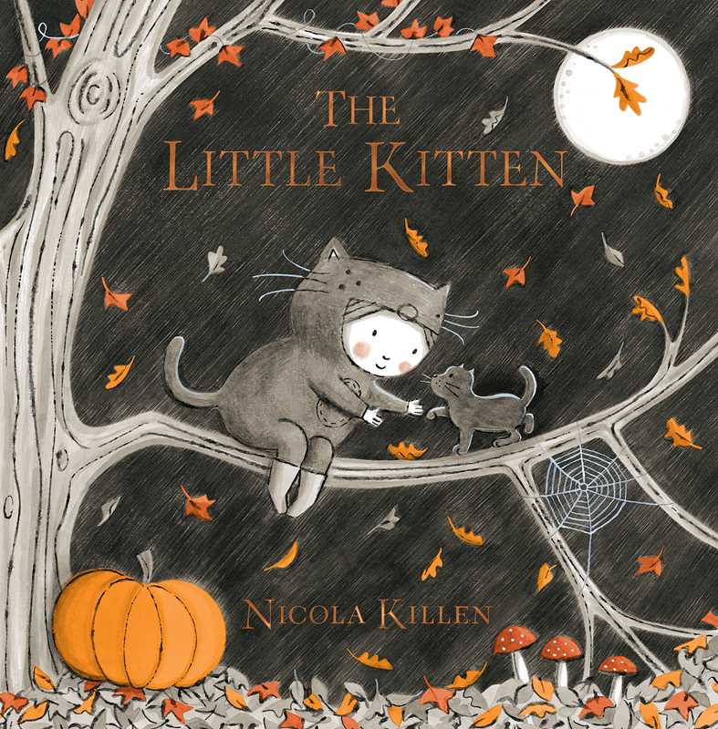 Little Kitten: A Hardcover Picture Book by Nicola Killen