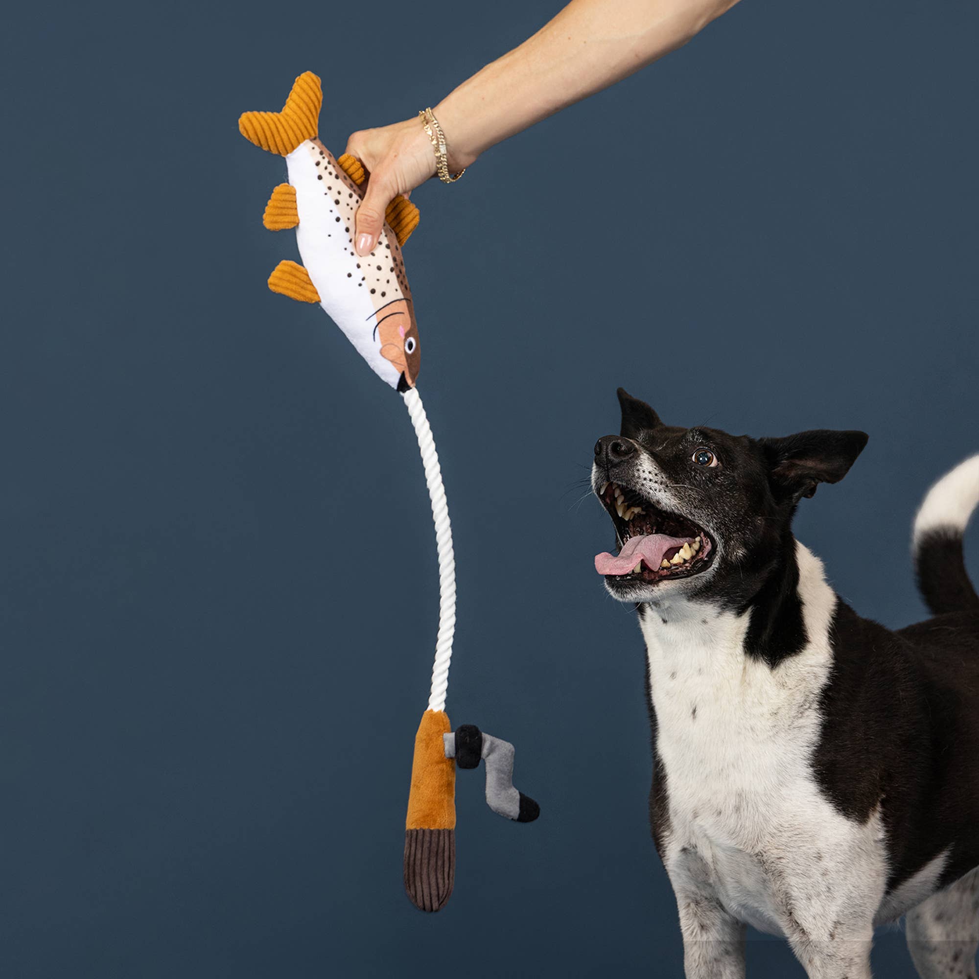 On the Line Plush Dog Toy