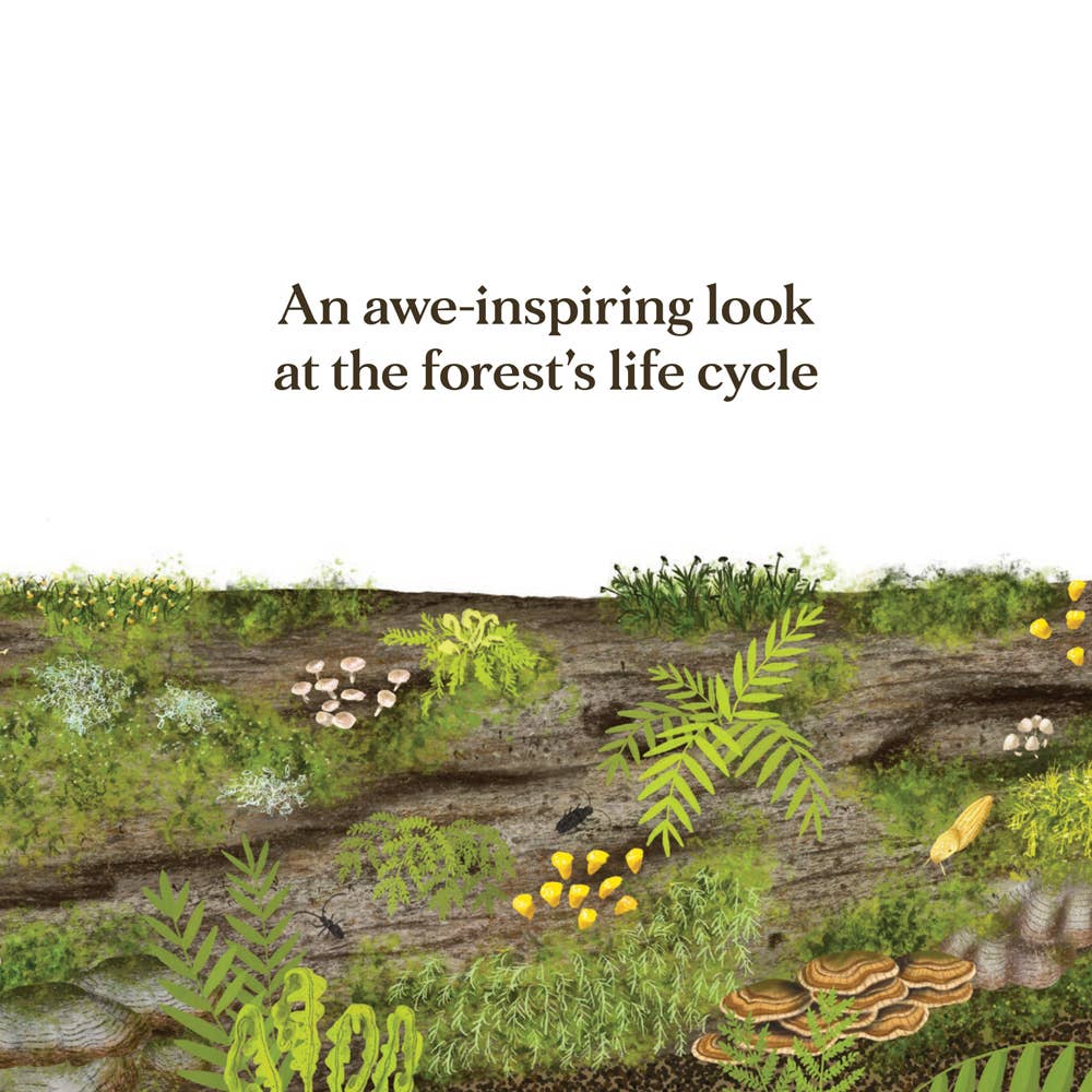 When a Tree Falls: Nurse Logs and Their Incredible Forest Power