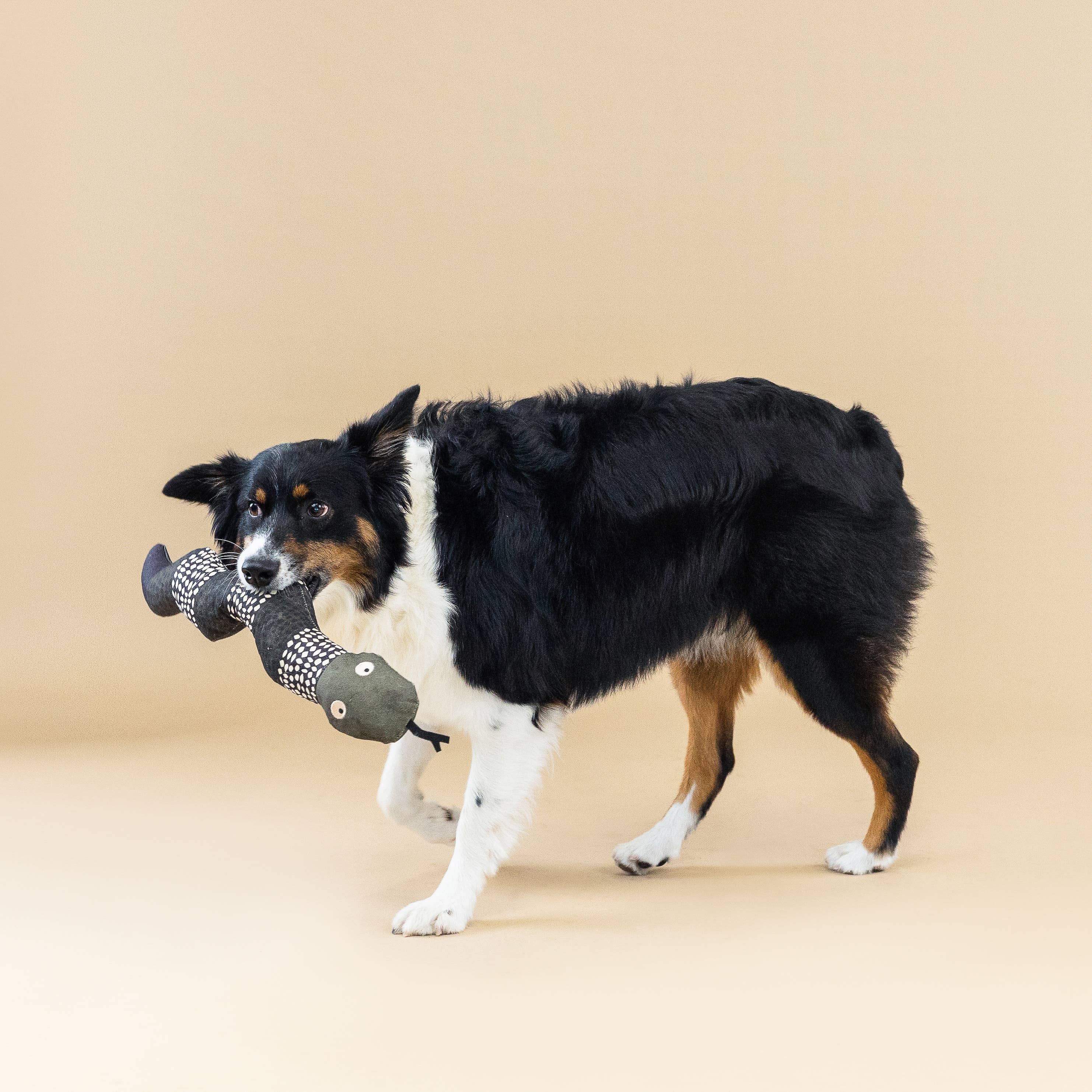 Ssssssup Canvas Snake Dog Toy