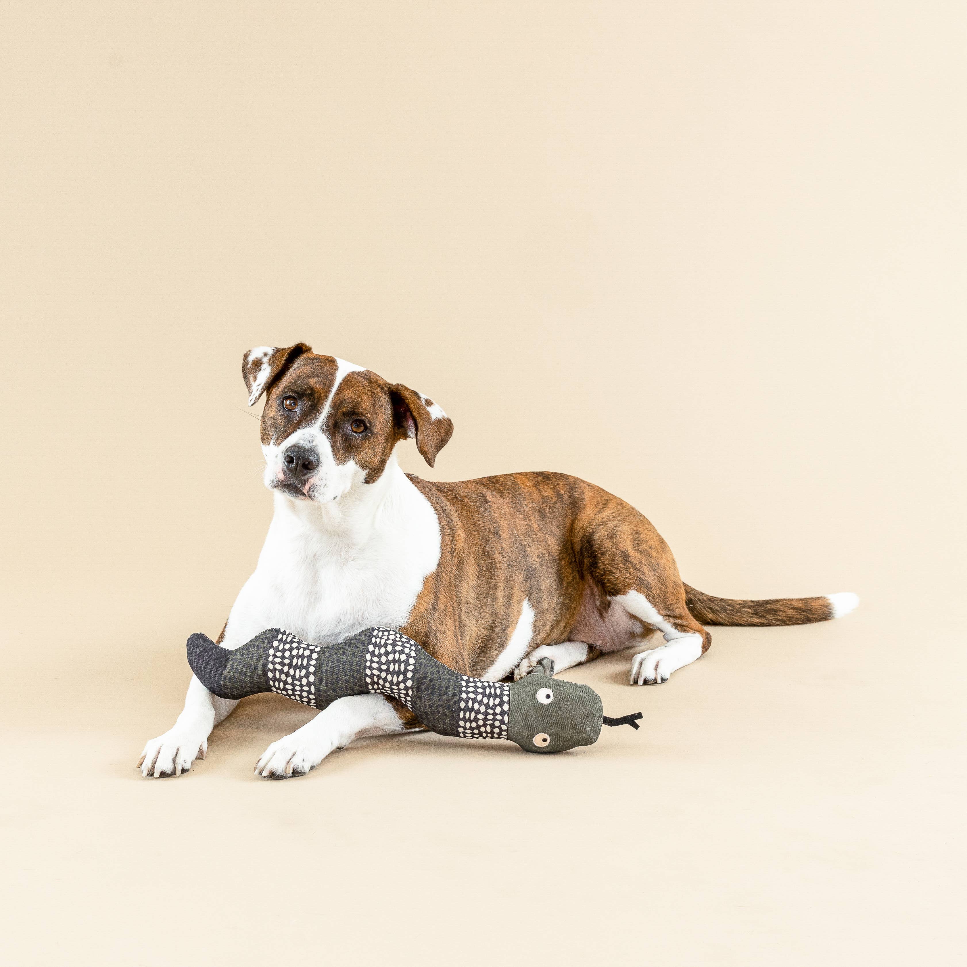 Ssssssup Canvas Snake Dog Toy