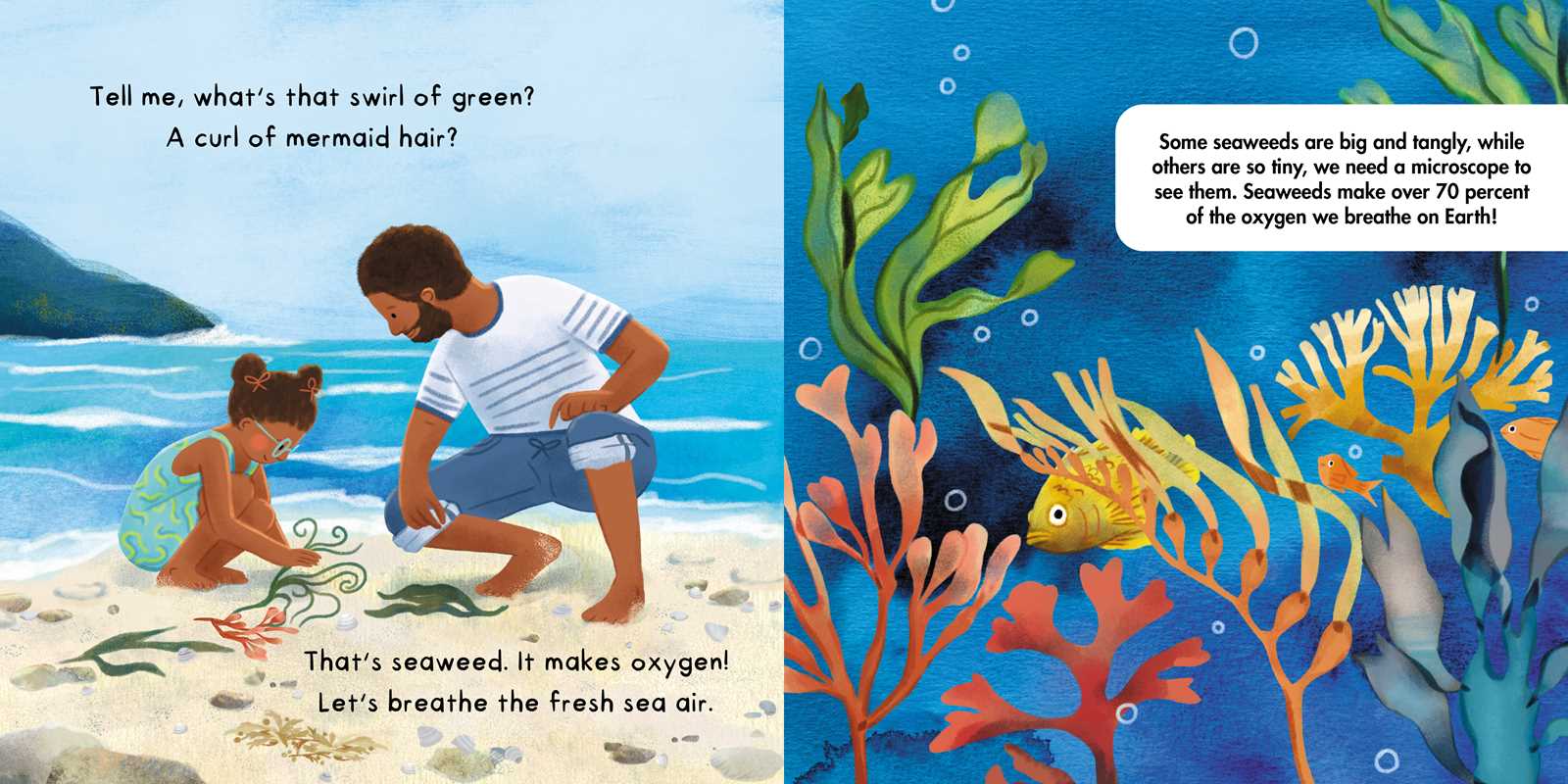 Tell Me About Oceans Board Book by Lisa Varchol Perron