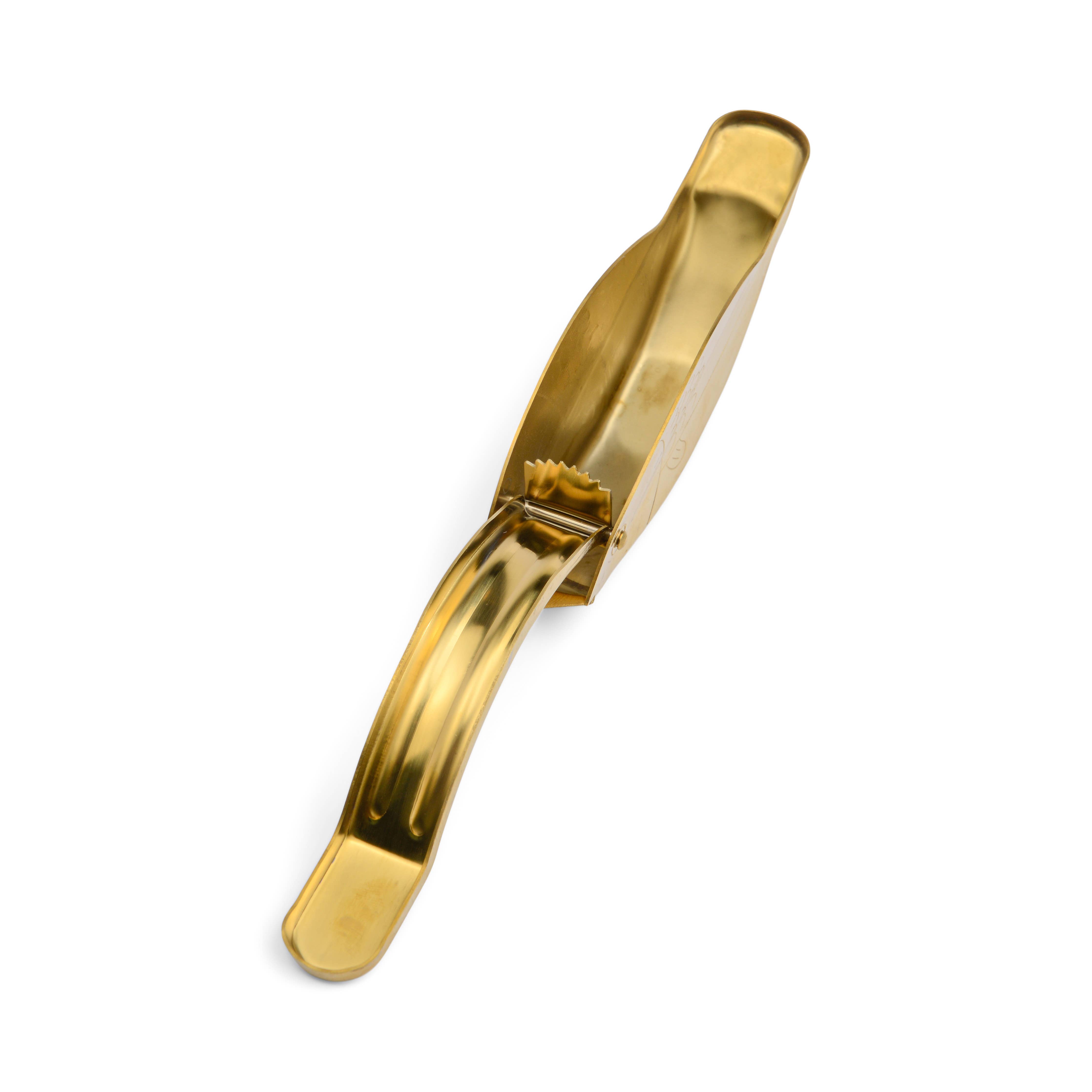 The Stevie Fish Citrus Juicer in Gold