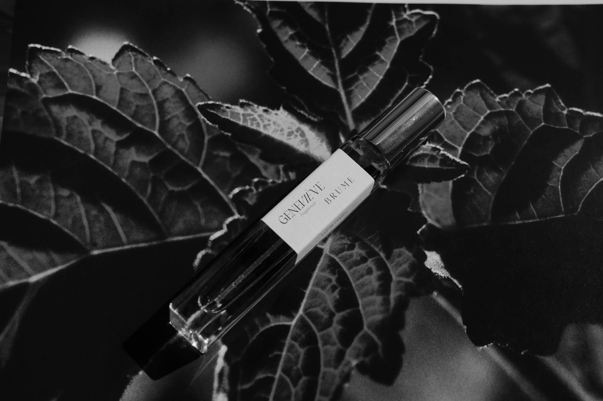 Brume Eau de Parfum | Sandalwood Jasmine