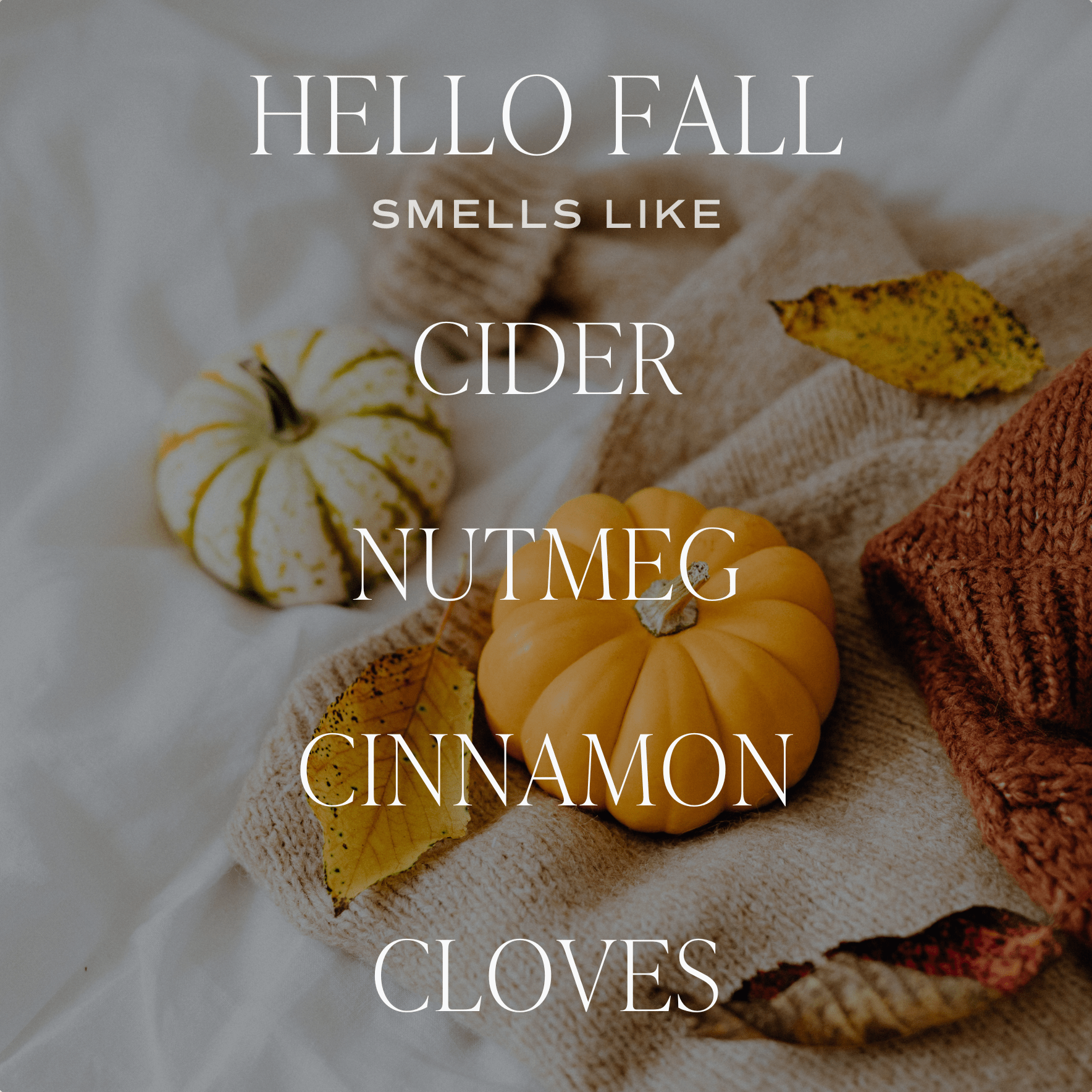 Hello Fall Soy Candle - 12 oz