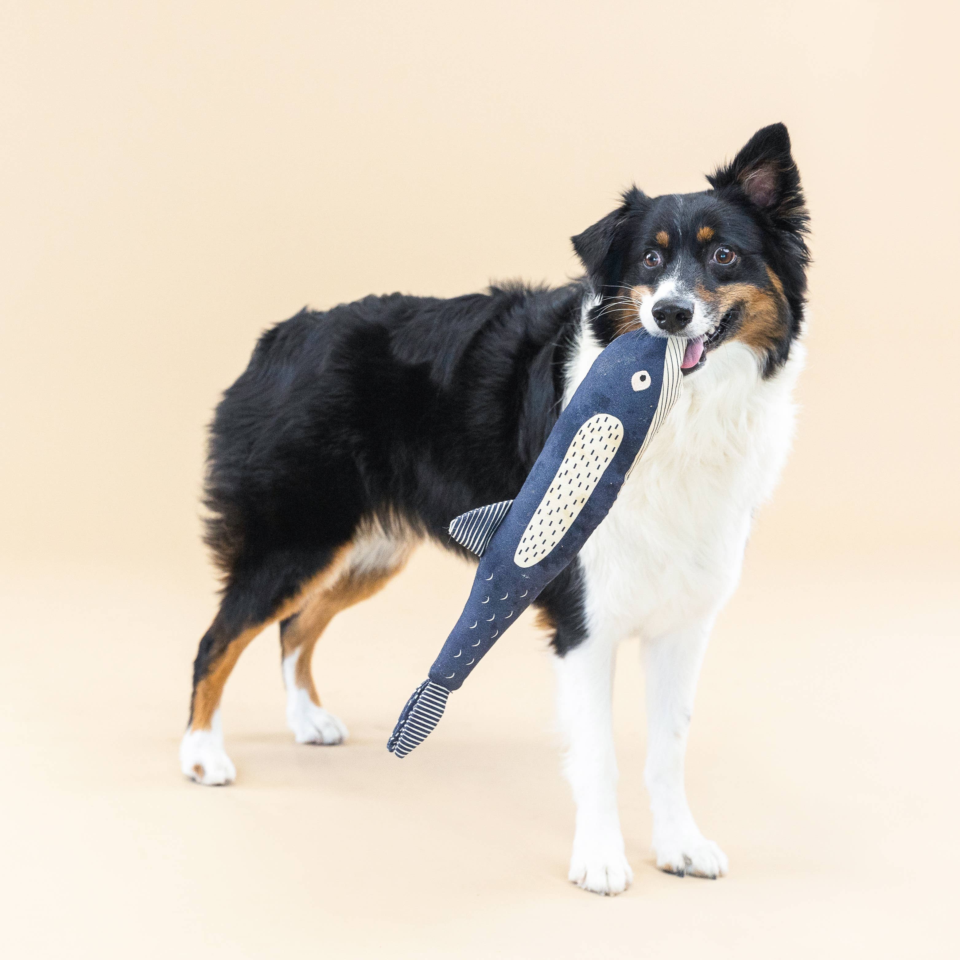 There She Blows Canvas Whale Dog Toy
