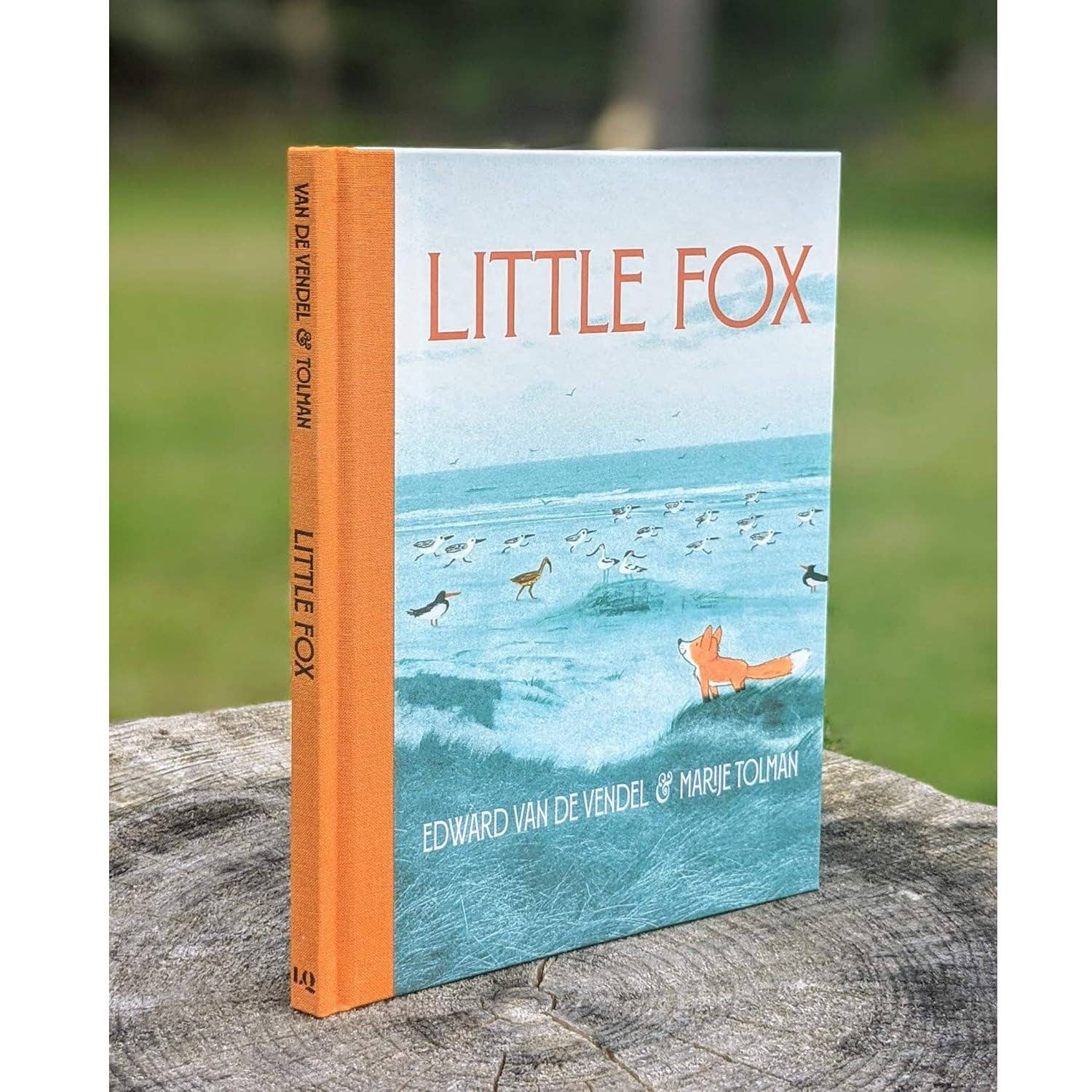 Little Fox by Edward van de Vendel & Marije Tolman