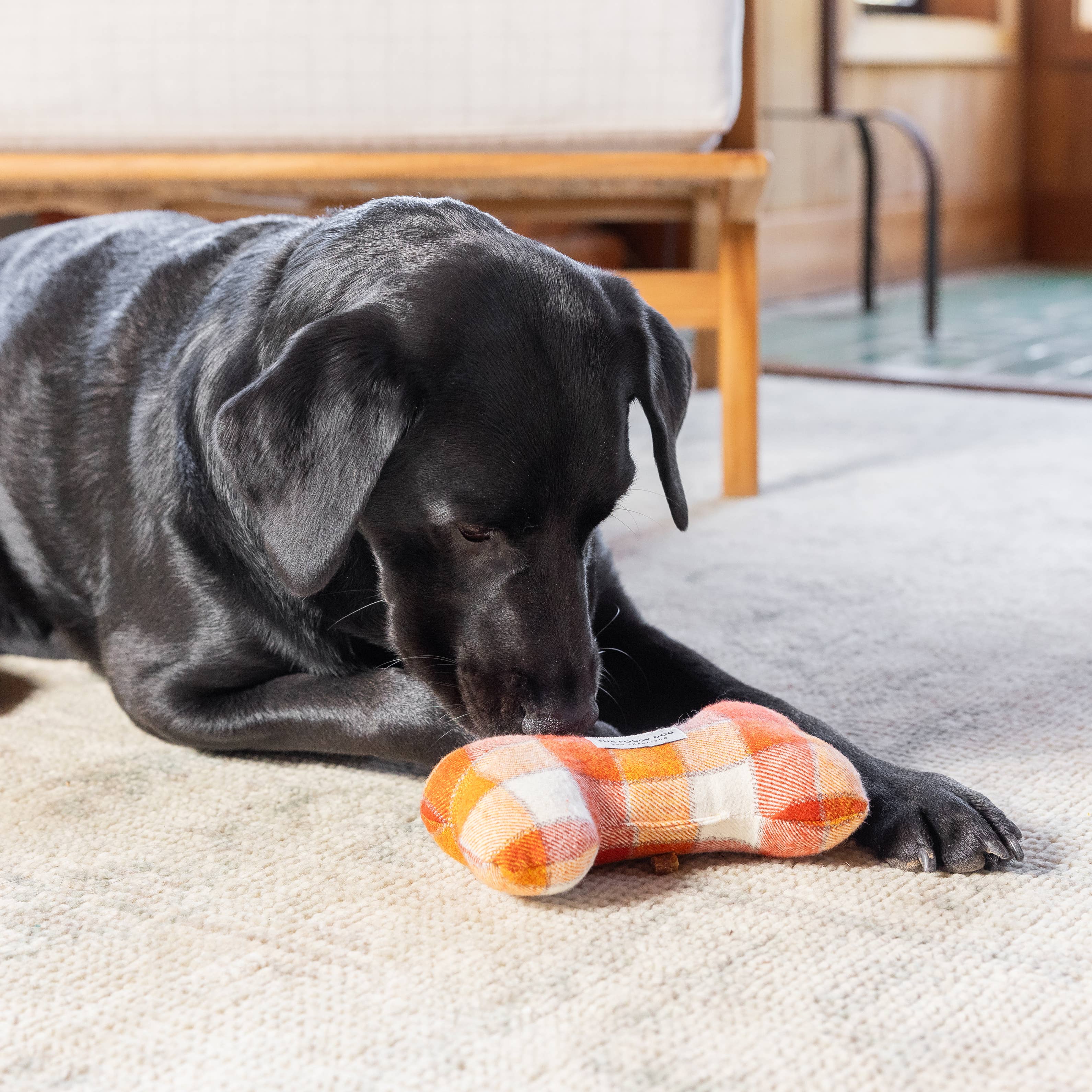Pumpkin Spice Plaid Dog Squeaky Toy