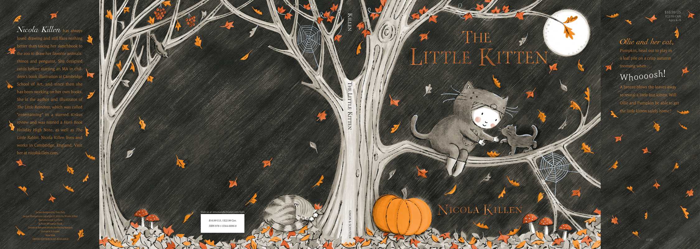 Little Kitten: A Hardcover Picture Book by Nicola Killen