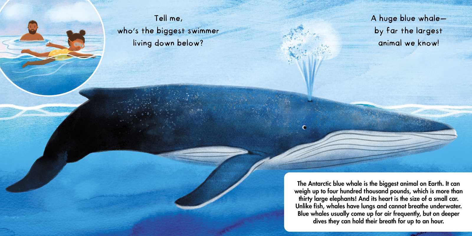 Tell Me About Oceans Board Book by Lisa Varchol Perron
