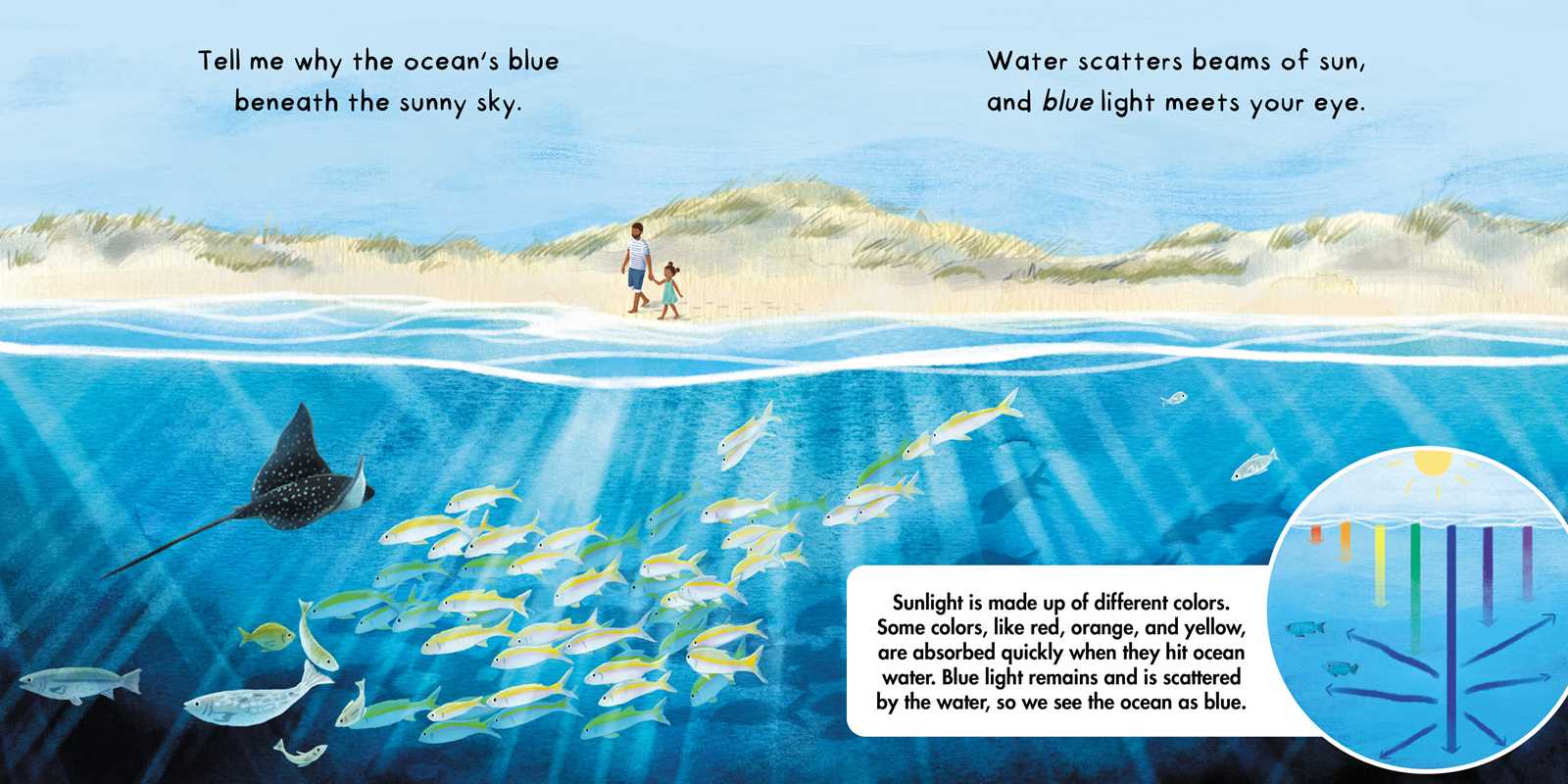 Tell Me About Oceans Board Book by Lisa Varchol Perron